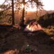 Weekend Forest Camping Adventure Trip