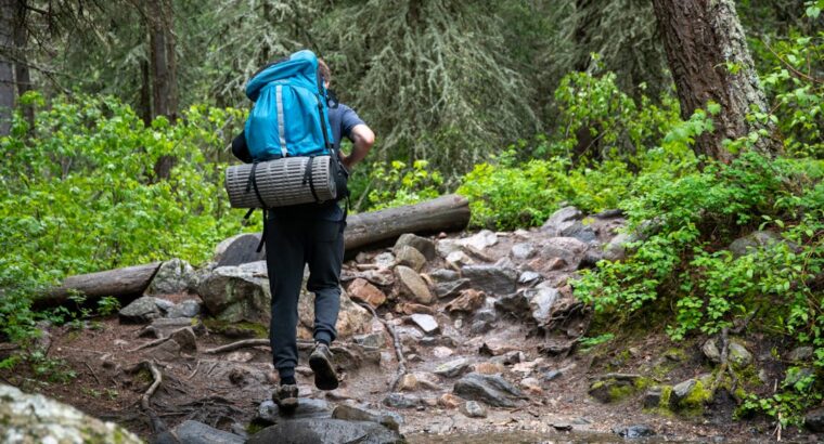 Group Trekking to Sunset Mountain Hill
